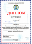 Диплом победителя регионального этапа  Всероссийской олимпиады